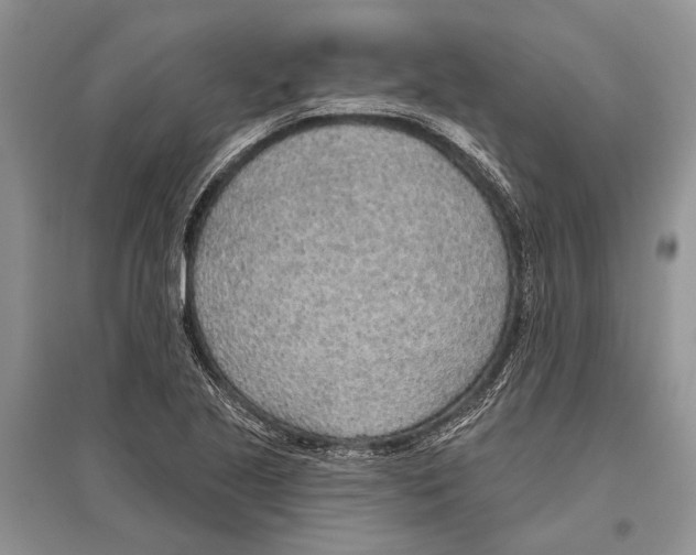 X0000096431221200802211139