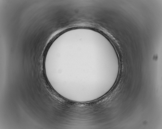 X0000096431222200802211139