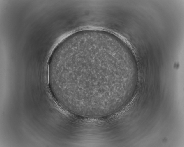 X0000096431223200802211139