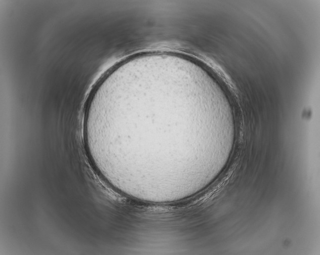 X0000096431224200802211139