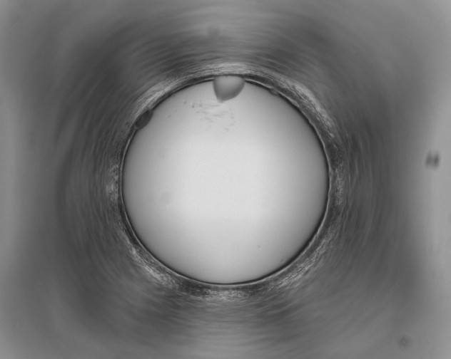 X0000096431225200802211139