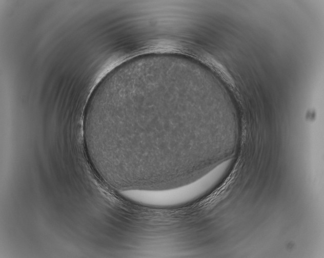 X0000096431226200802211139
