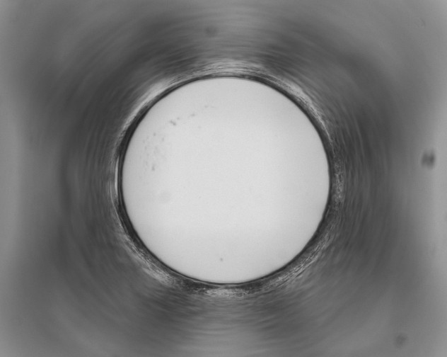 X0000096431227200802211139