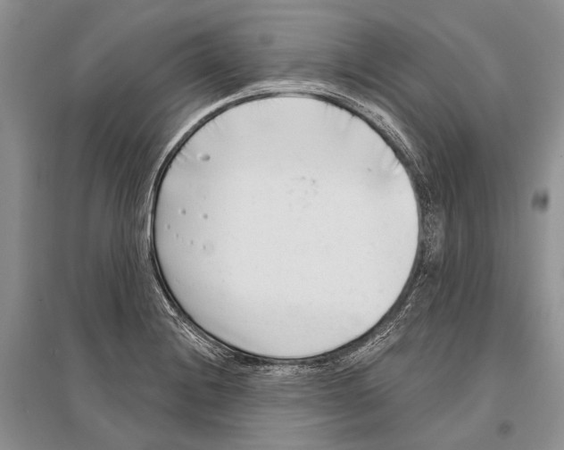 X0000096431228200802211139