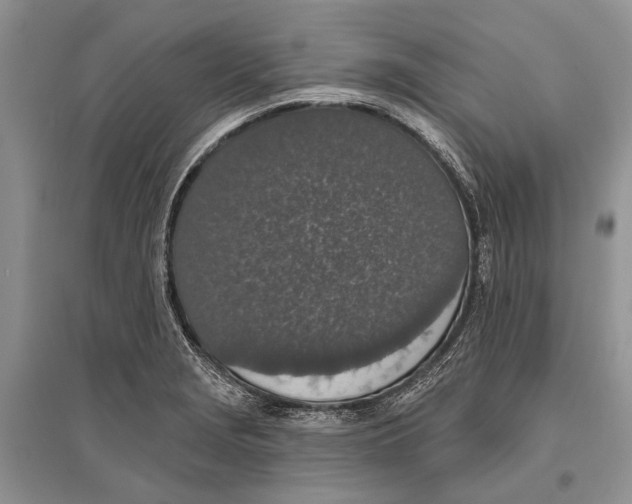 X0000096431229200802211139