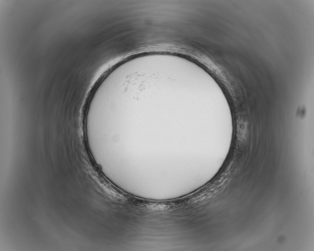 X0000096431230200802211139