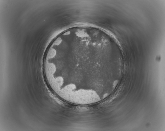 X0000096431231200802211139