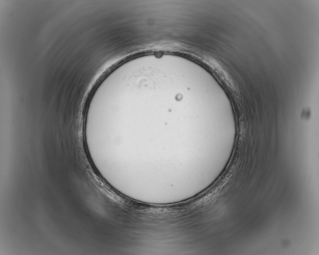 X0000096431232200802211139