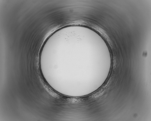 X0000096431234200802211139