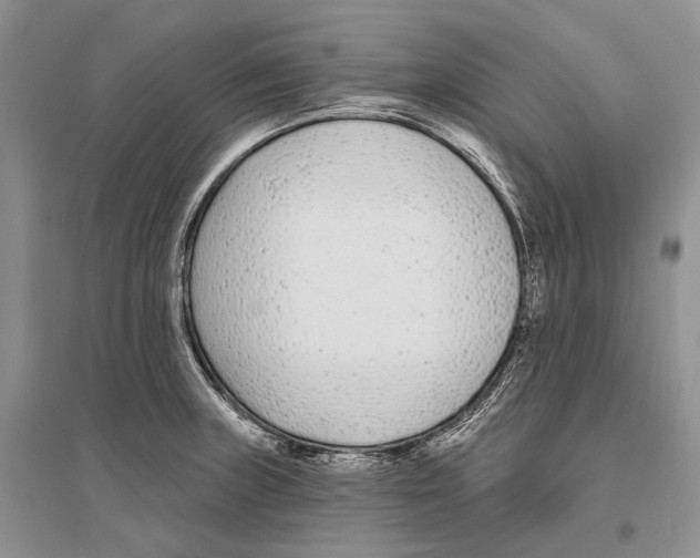 X0000096431235200802211139
