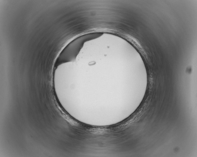 X0000096431236200802211139