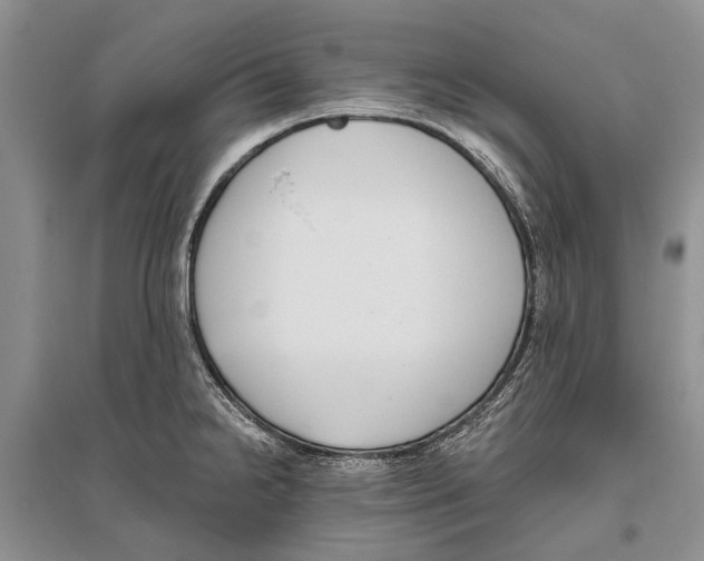 X0000096431238200802211139