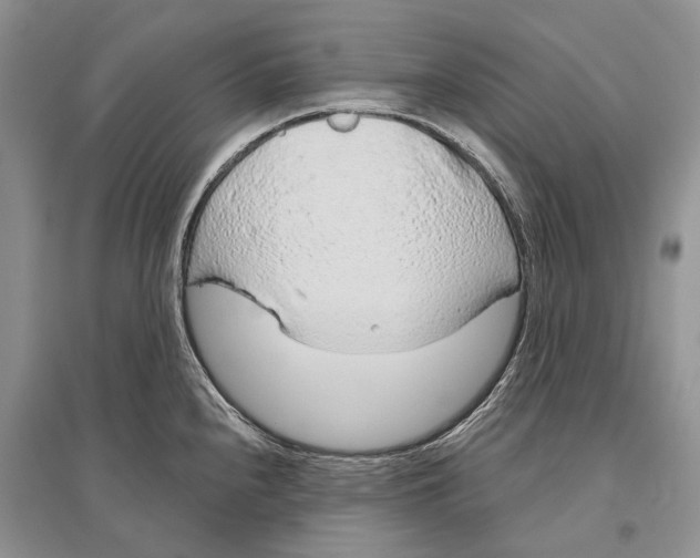 X0000096431240200802211139