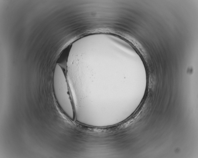 X0000096431241200802211139
