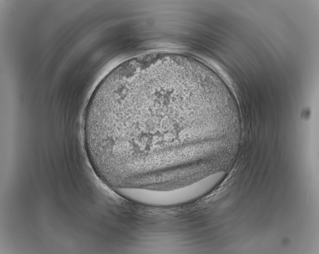X0000096431243200802211139