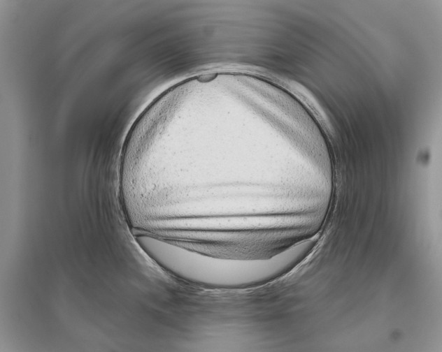 X0000096431244200802211139