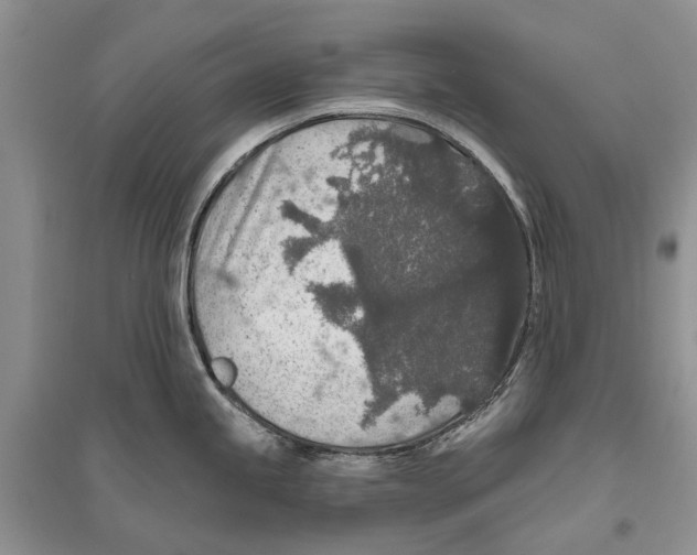 X0000096431245200802211139