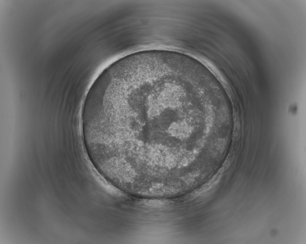 X0000096431246200802211139