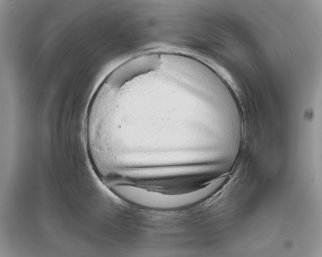 X0000096431247200802211139