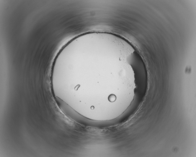 X0000096431248200802211139