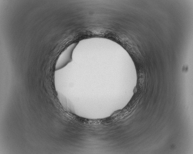 X0000096431249200802211138