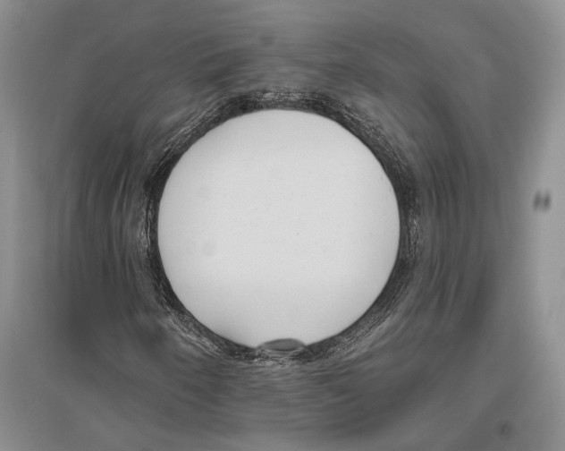 X0000096431250200802211138