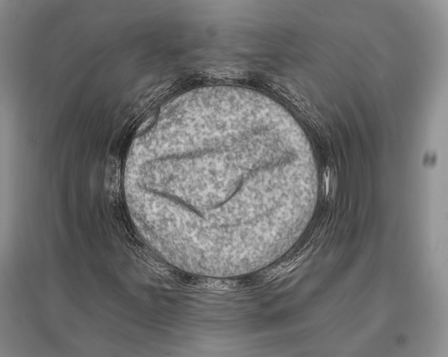 X0000096431251200802211138