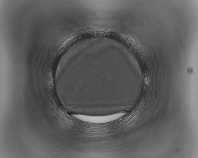 X0000096431252200802211138