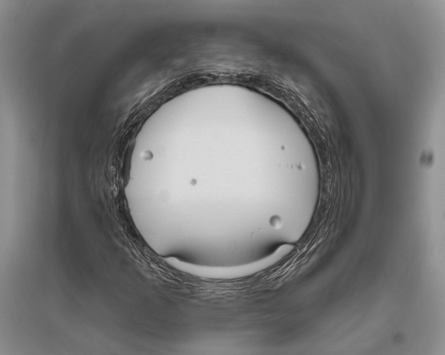 X0000096431253200802211138