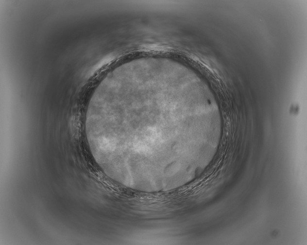 X0000096431254200802211138