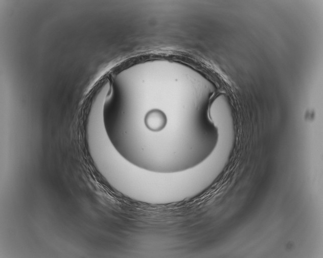 X0000096431256200802211138