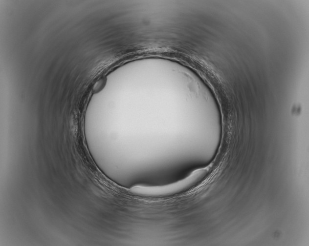 X0000096431257200802211138