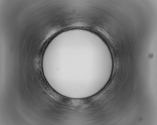 X0000096431258200802211138