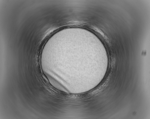 X0000096431259200802211138