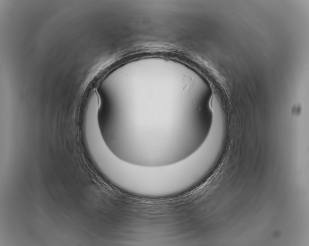 X0000096431261200802211138