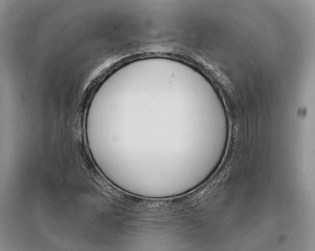 X0000096431262200802211138