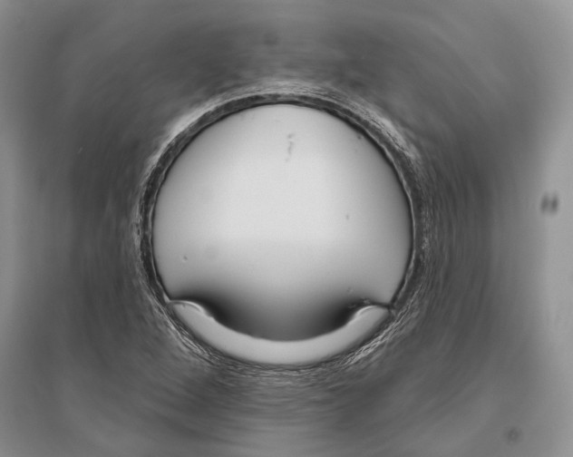 X0000096431264200802211138