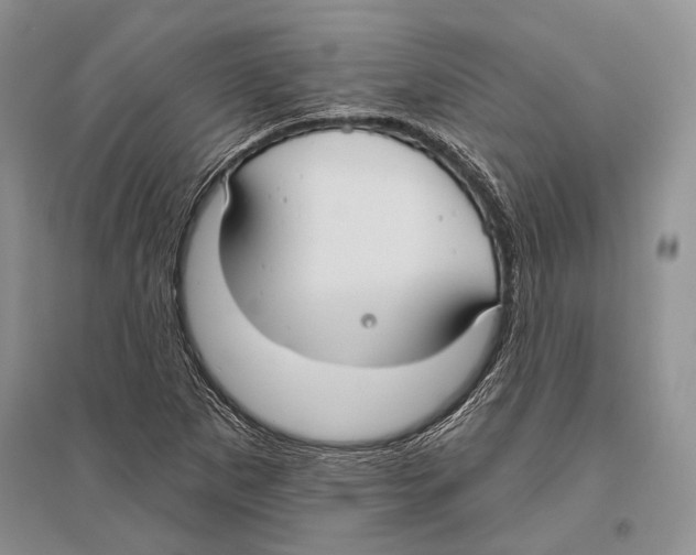 X0000096431265200802211138