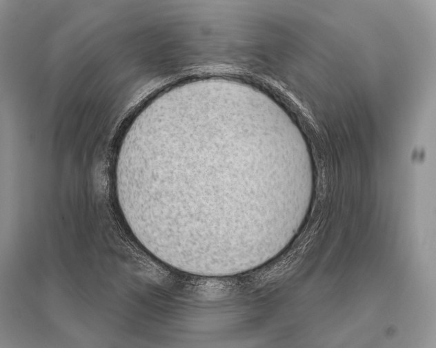 X0000096431266200802211138