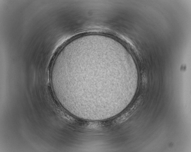 X0000096431267200802211138