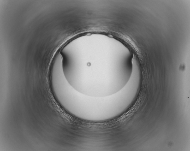 X0000096431268200802211138