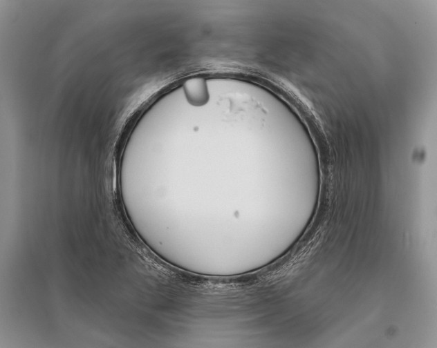 X0000096431269200802211138