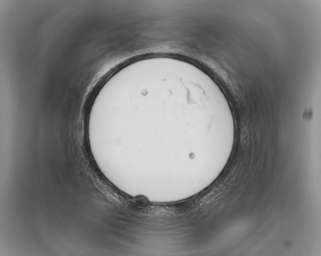 X0000096431270200802211138