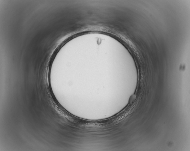X0000096431272200802211138