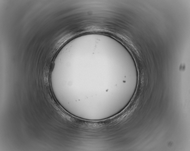 X0000096431273200802211138