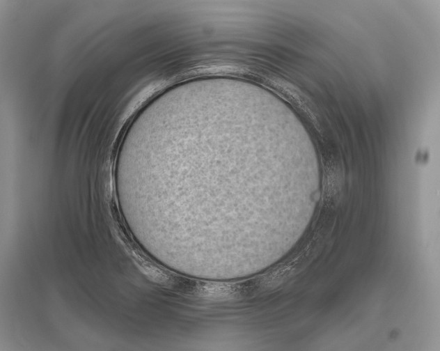 X0000096431274200802211138