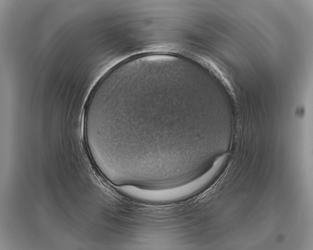 X0000096431276200802211138