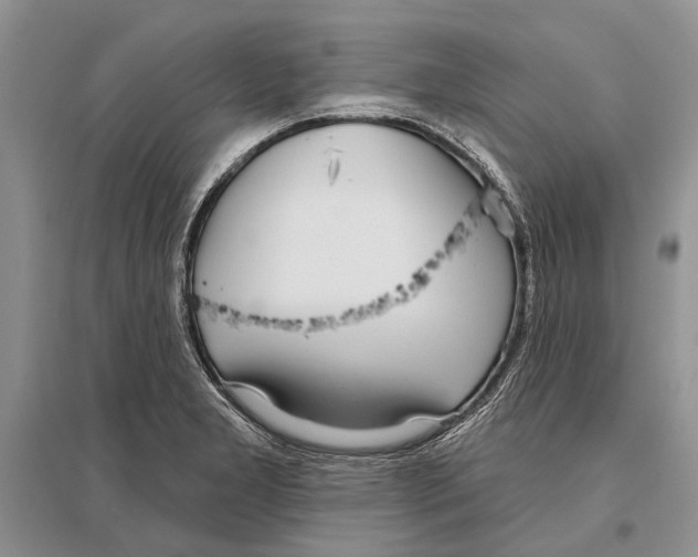 X0000096431277200802211138
