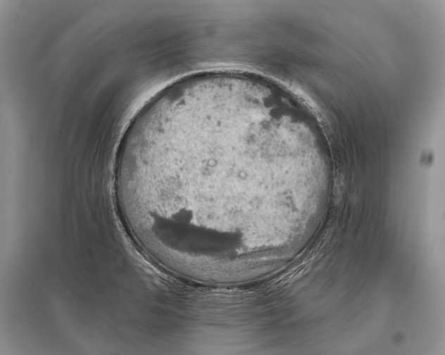 X0000096431279200802211138