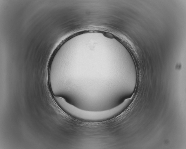X0000096431280200802211138